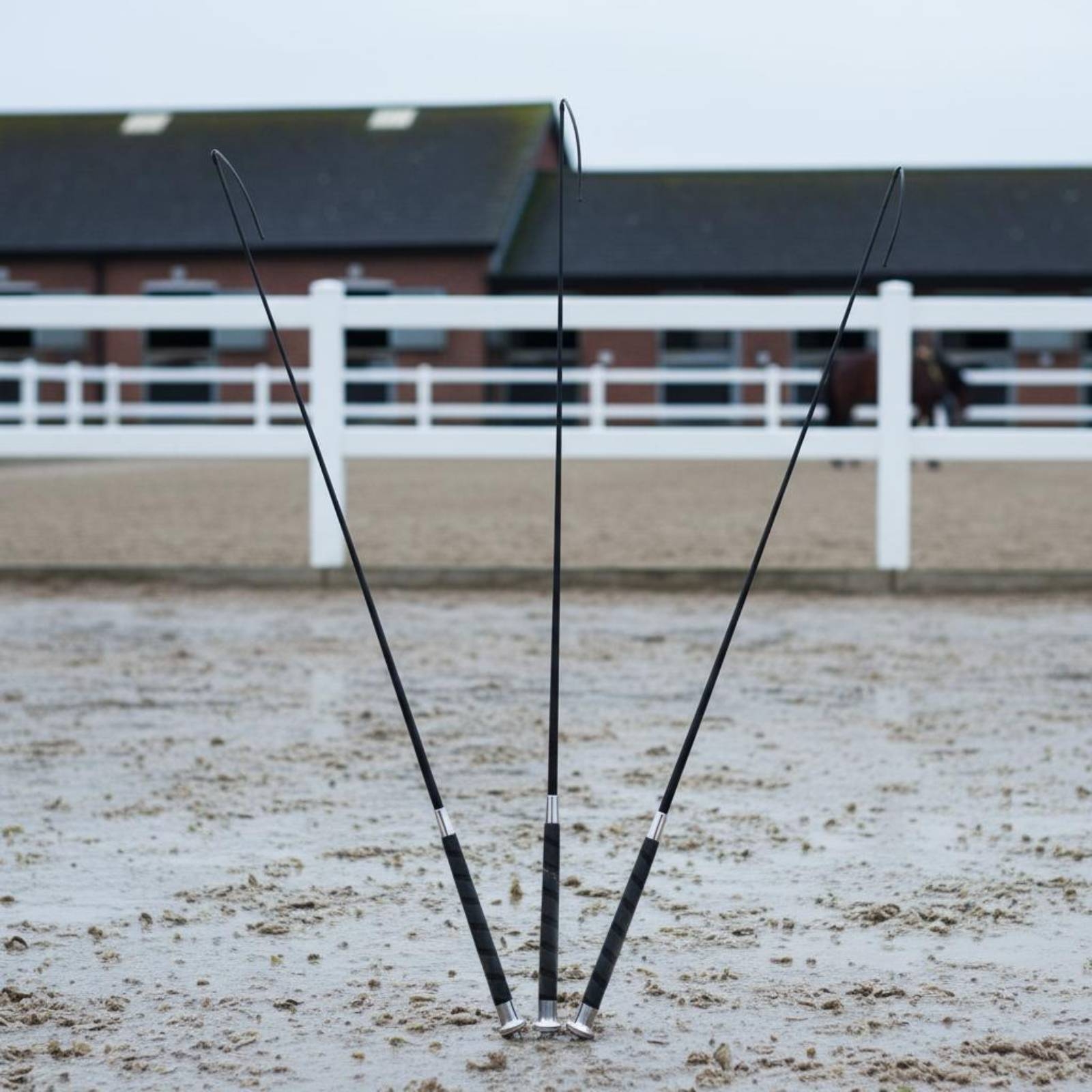 3 Pieces Dressage Training Whi – Riding Crop Dressage recenzja i cena
