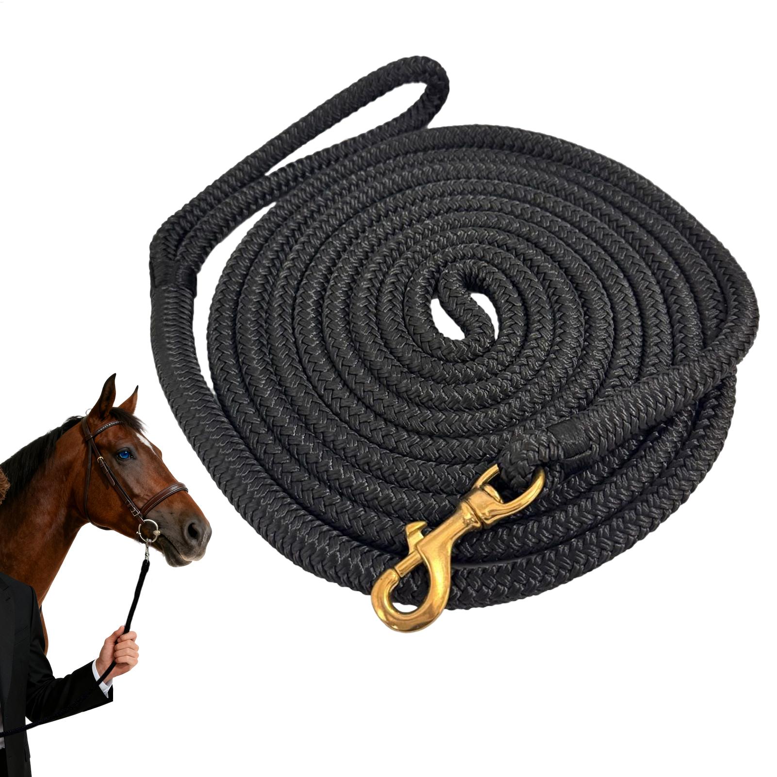 Horse Lunge Line Performance H – Lunge Line Horse recenzja i cena